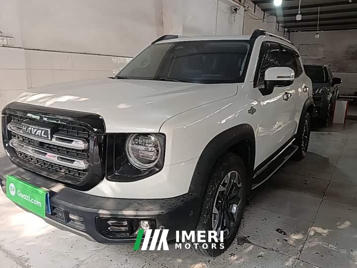 Great Wall Dachshund 2.0T DCT Four-wheel Drive Howling Heavenly Dog Edition - ავტომობილი ჩინეთიდან