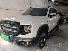 Great Wall Dachshund 2.0T DCT Four-wheel Drive Howling Heavenly Dog Edition - ფოტო 1