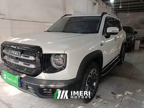 2021 Great Wall Dachshund 2.0T DCT Four-wheel Drive Howling Heavenly Dog Edition - ავტომობილი ჩინეთიდან