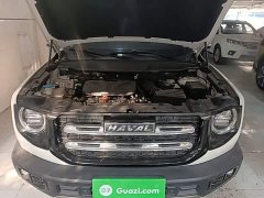 Great Wall Dachshund 2.0T DCT Four-wheel Drive Howling Heavenly Dog Edition - ფოტო 20