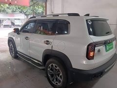Great Wall Dachshund 2.0T DCT Four-wheel Drive Howling Heavenly Dog Edition - ფოტო 5