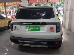 Great Wall Dachshund 2.0T DCT Four-wheel Drive Howling Heavenly Dog Edition - ფოტო 6