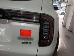 Great Wall Dachshund 2.0T DCT Four-wheel Drive Howling Heavenly Dog Edition - ფოტო 8