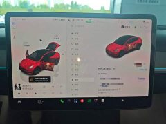 Tesla Model Y Rear-Wheel Drive - ფოტო 12