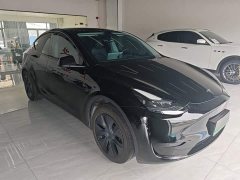 Tesla Model Y Rear-Wheel Drive - ფოტო 4