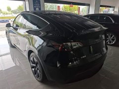 Tesla Model Y Rear-Wheel Drive - ფოტო 5
