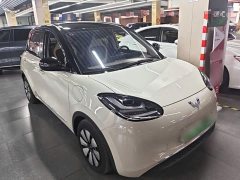 Wuling Binguo 2023 410km Lingxi Premium Edition - ფოტო 4