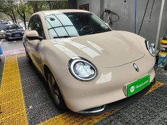 ORA Good Cat 401km Standard Range Deluxe Edition LFP Battery - ფოტო 4