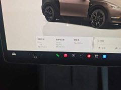 Tesla Model Y Long Range All-Wheel Drive - ფოტო 12