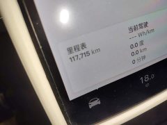 Tesla Model 3 Performance All-Wheel Drive - ფოტო 12