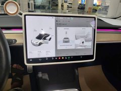 Tesla Model 3 Performance All-Wheel Drive - ფოტო 13