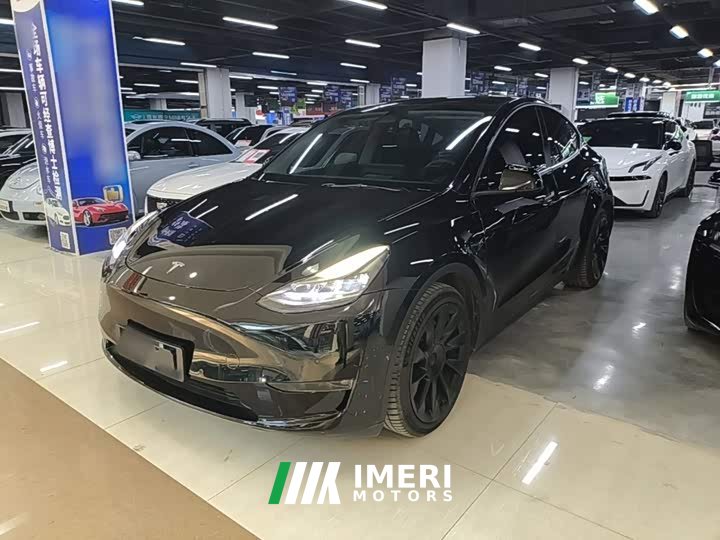 Tesla Model Y 2021 Standard Range RWD - ავტომობილი ჩინეთიდან