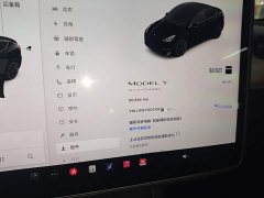 Tesla Model Y 2021 Standard Range RWD - ფოტო 12