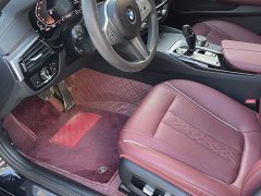 BMW 5 Series 530Li Premier M Sport Package - ფოტო 12