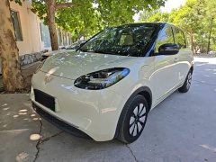 Wuling Binguo 2023 333km Joy Edition - ფოტო 1