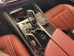 BMW 5 Series Facelift 530Li Premier M Sport Package - ფოტო 14