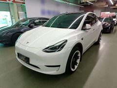 Tesla Model Y 2024 Rear-Wheel Drive - ფოტო 1