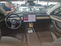 Tesla Model 3 Standard Range RWD Upgrade 3D6 - ფოტო 10