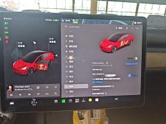 Tesla Model 3 Standard Range RWD Upgrade 3D6 - ფოტო 12