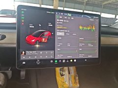 Tesla Model 3 Standard Range RWD Upgrade 3D6 - ფოტო 13