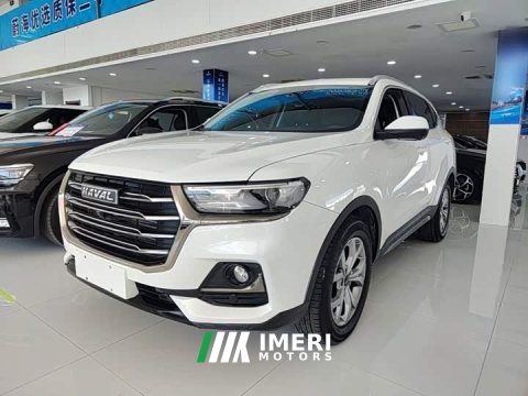 2021 Haval H6 National Trend 1.5T Automatic Champion Edition - ავტომობილი ჩინეთიდან