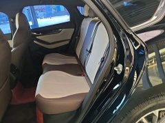 BYD Qin PLUS 2024 Glory Edition DM-i 55KM Leading - ფოტო 17