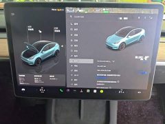Tesla Model Y Rear-Wheel Drive - ფოტო 12