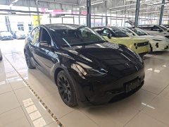 Tesla Model Y Rear-Wheel Drive - ფოტო 4