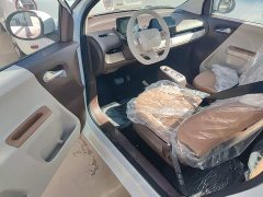 Changan Lumin Treasure Edition 205km Cool Love White CATL - ფოტო 16