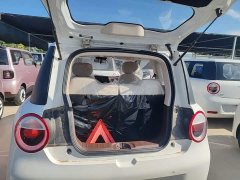 Changan Lumin Treasure Edition 205km Cool Love White CATL - ფოტო 19