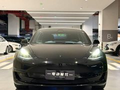 Tesla Model 3 Rear-Wheel Drive - ფოტო 12