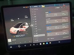 Tesla Model 3 Rear-Wheel Drive - ფოტო 8