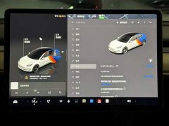 Tesla Model 3 Rear-Wheel Drive - ფოტო 9