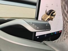 Tesla Model Y 2022 Facelift Long Range All-Wheel Drive - ფოტო 14