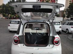 Changan Lumin Treasure Edition 205km Cool Love White CATL - ფოტო 19