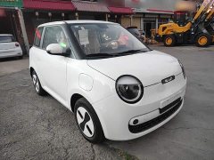 Changan Lumin Treasure Edition 205km Cool Love White CATL - ფოტო 4