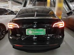 Tesla Model Y 2023 Rear-Wheel Drive - ფოტო 6