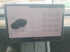 Tesla Model Y Rear-Wheel Drive - ფოტო 12