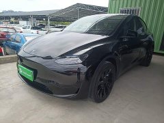 Tesla Model Y Rear-Wheel Drive - ფოტო 2