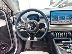 BYD Yuan Plus 430KM Premium Edition - ფოტო 11