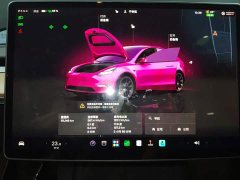 Tesla Model Y 2022 Facelift Rear-Wheel Drive - ფოტო 12