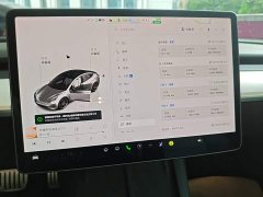 Tesla Model 3 Performance All-Wheel Drive - ფოტო 12