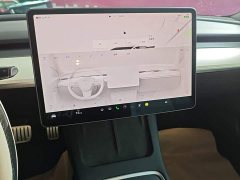Tesla Model 3 Performance All-Wheel Drive - ფოტო 13
