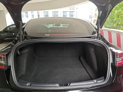 Tesla Model 3 Performance All-Wheel Drive - ფოტო 19