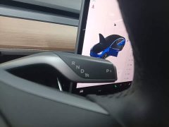 Tesla Model 3 2020 Facelift Standard Range RWD Upgrade - ფოტო 6
