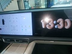 Li Auto L6 Pro - ფოტო 13