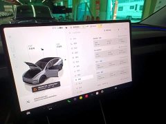 Tesla Model Y Rear-Wheel Drive - ფოტო 13