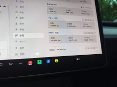 Tesla Model Y Rear-Wheel Drive - ფოტო 12