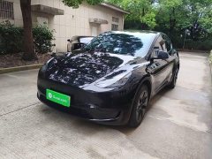 Tesla Model Y Rear-Wheel Drive - ფოტო 2