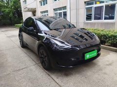 Tesla Model Y Rear-Wheel Drive - ფოტო 4